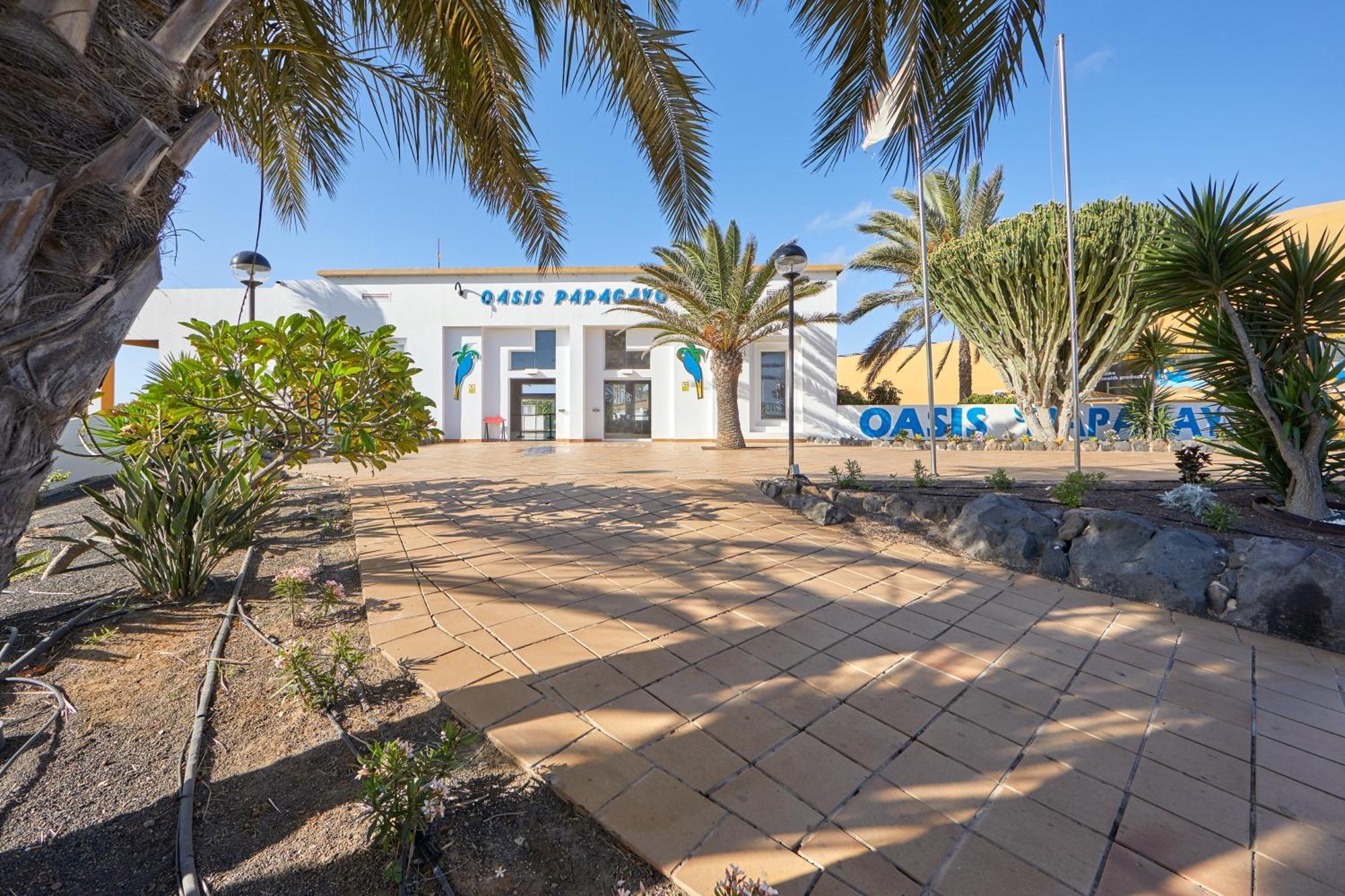 Apartamento Samira Fuerteventura Corralejo Exteriér fotografie